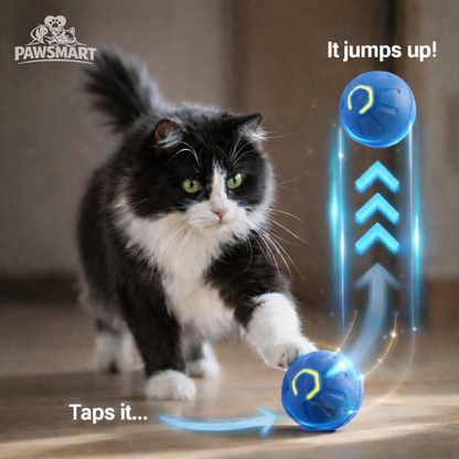 PAWSMART™ SmartPlay Interactive Dog Ball