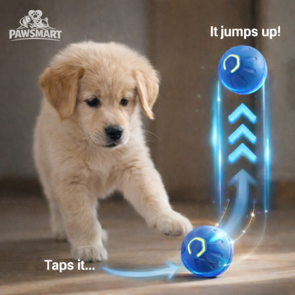 PAWSMART™ SmartPlay Interactive Dog Ball