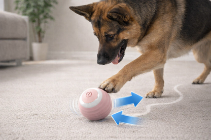 PAWSMART™ SmartPlay Interactive Dog Ball